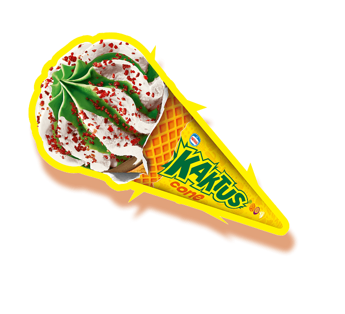 KAKTUS<br />ROŻEK