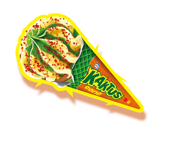 KAKTUS<br />ROŻEK